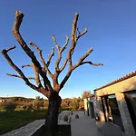 Poolvilla Oliviera Villa