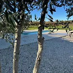 Poolvilla Oliviera Rovinj