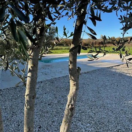 Poolvilla Oliviera Rovinj